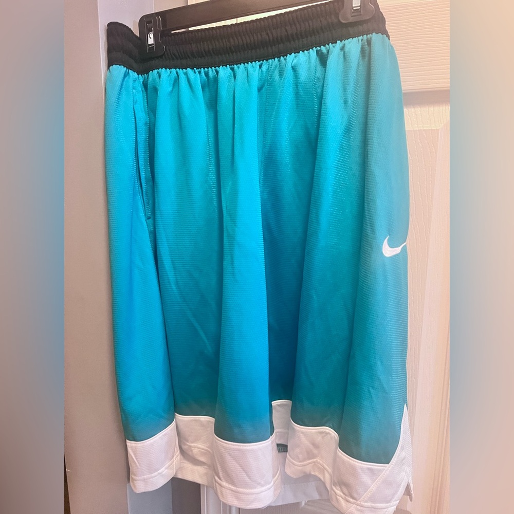 NWT. Nike Blue and White Athletic Shorts